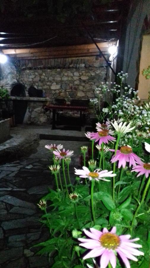 The House In Shipka Villa ภายนอก รูปภาพ